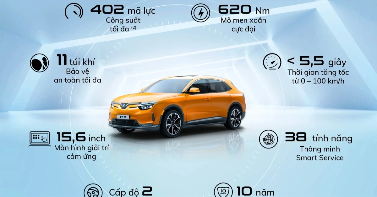 infographic-vf-8-edited-crop-1669202324212