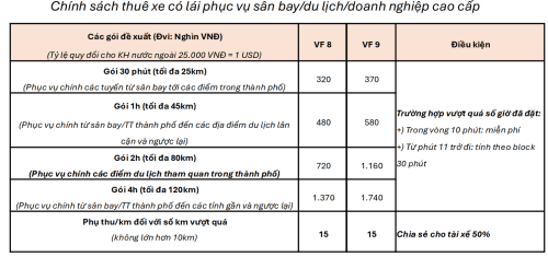 Chính Sách Cho Thuê Xe VinFast 2025