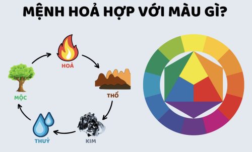 Người Mệnh Hoả Mua Xe Ô tô hợp màu gì ?