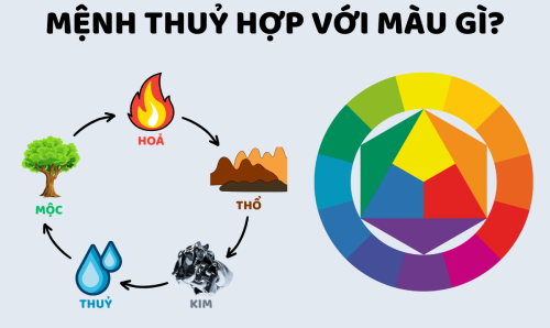 Người Mệnh Thủy Mua Xe Ô Tô Màu Gì?